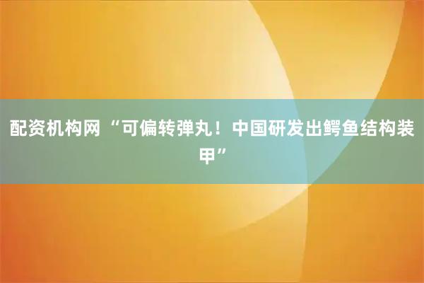 配资机构网 “可偏转弹丸！中国研发出鳄鱼结构装甲”
